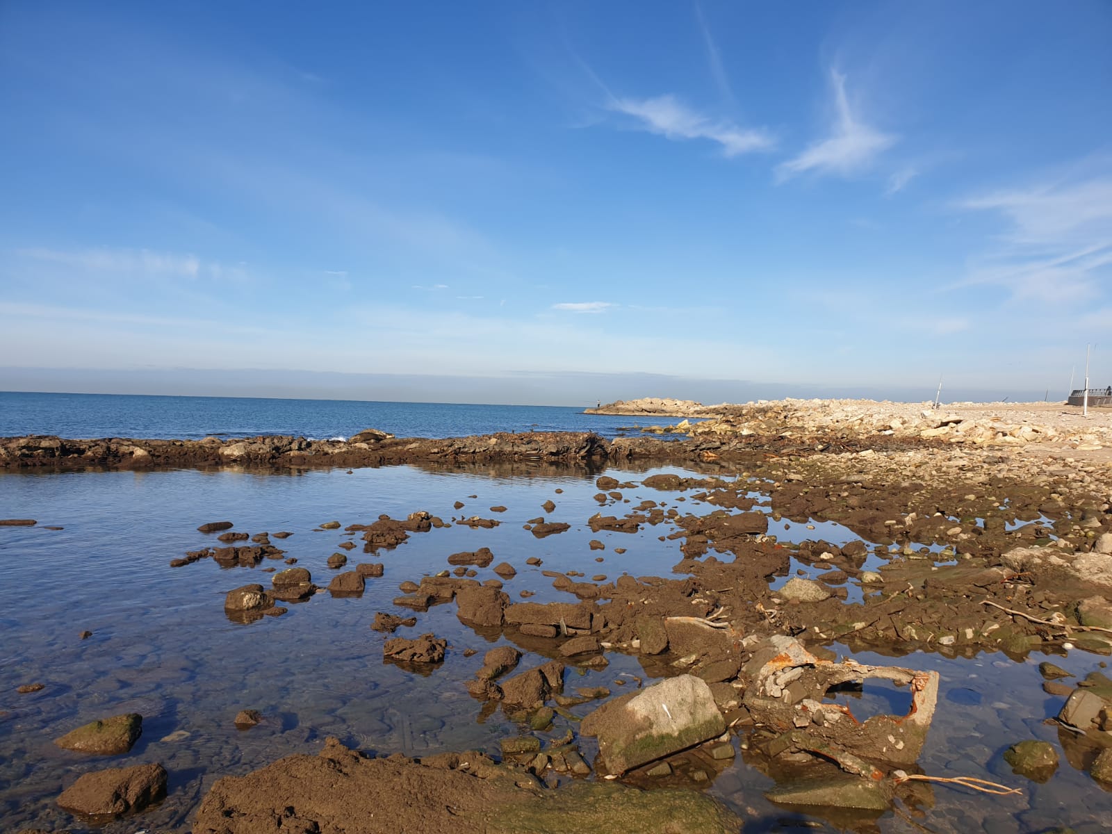 WhatsApp Image 2020-01-27 at 9.05.19 AM (2).jpeg.jpeg